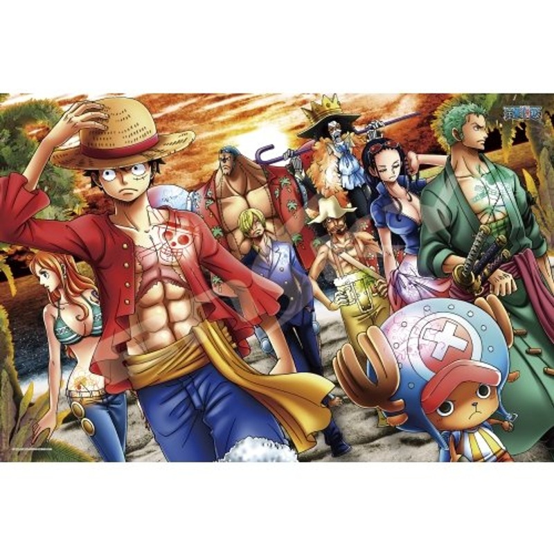 Ensky Magical Piece Jigsaw Puzzle 1000-MG07 One Piece Color Landed (1000 Pieces)