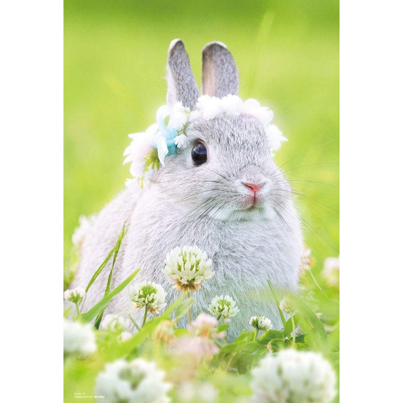 Beverly Jigsaw Puzzle P33-175 Rabbit and Flower (300 Pieces)