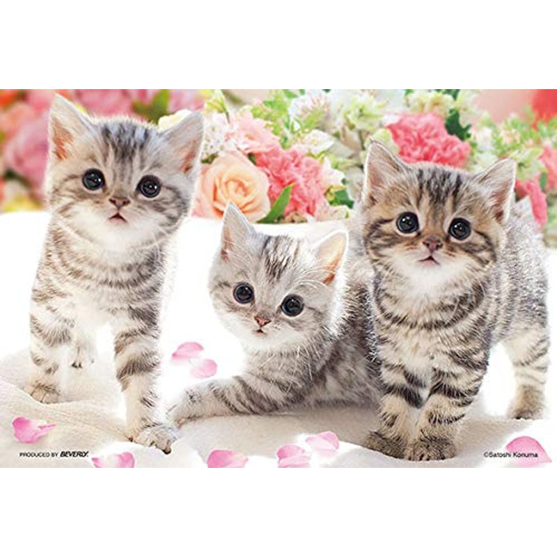 Beverly Jigsaw Puzzle M108-206 Pretty Pet Kitty Cats (108 S-Pieces)