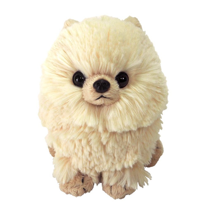 Sunlemon Plush Doll Pups! Pomeranian (BE) S TJN