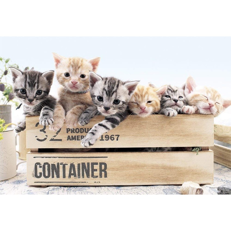 Yanoman Jigsaw Puzzle 01-2078 American Shorthair We Like a Narrow Place (108 L-Pieces)