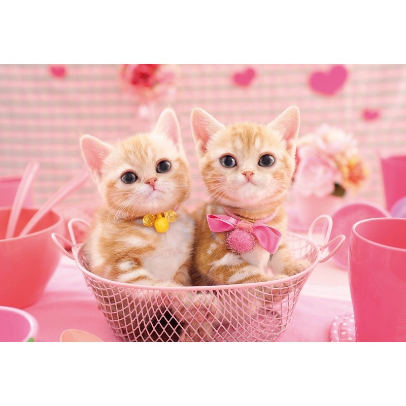 Epoch Jigsaw Puzzle 25-164 Pet Cat American Shorthair (300 Pieces)