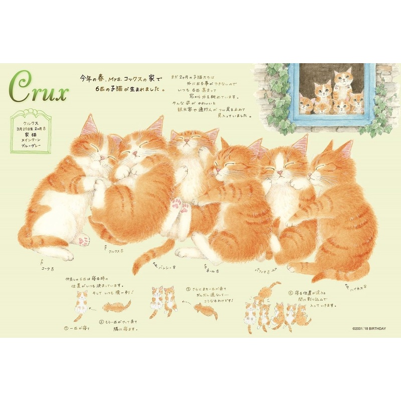 Epoch Jigsaw Puzzle 26-277 Cat Town Neargo Crux (300 Pieces)