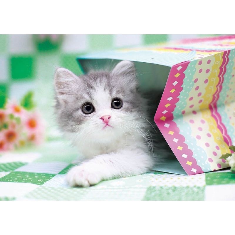 Epoch Jigsaw Puzzle 01-066 Pet Cat Scottish Fold (108 Pieces)