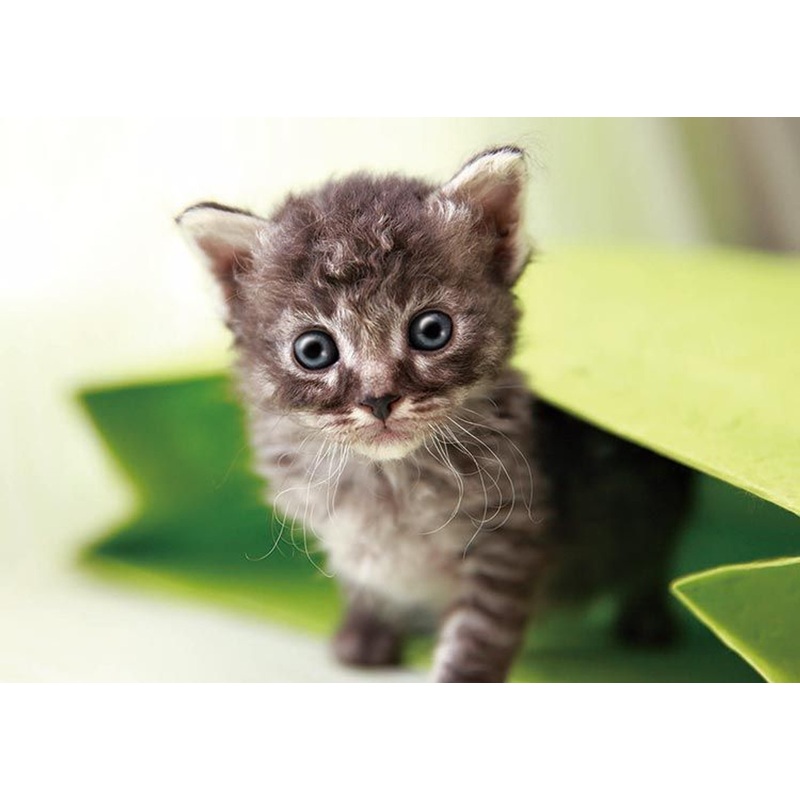 Epoch 71-360 Jigsaw Puzzle La Perm (108 Pieces)