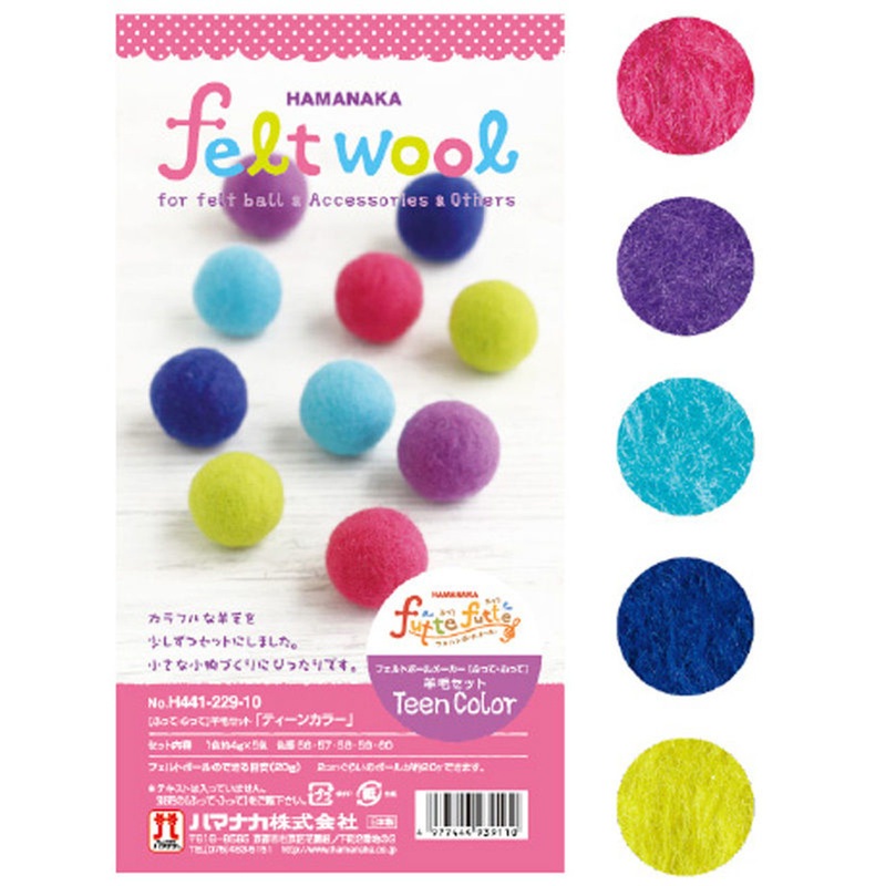 Hamanaka H441-229-10 Felt Wool Set for Felt Ball & Handicraft TEEN COLOR