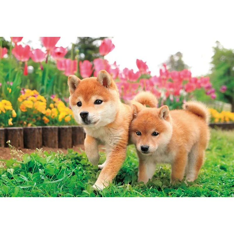 Epoch 25-184 Jigsaw Puzzle Take a Walk with Cute Puppies (Pet Animals) (300 Pieces)