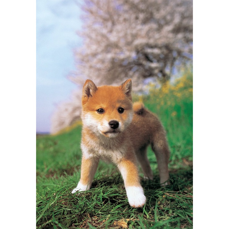 Yanoman Jigsaw Puzzle 01-2071 Dog Shiba Inu (108 L-Pieces)