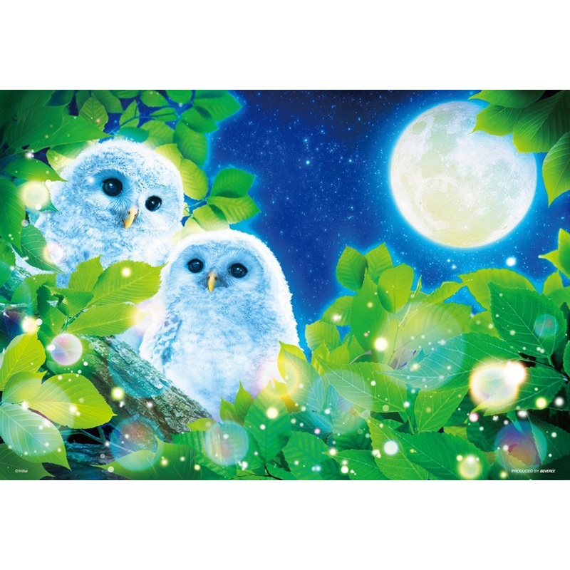 Beverly Jigsaw Puzzle 43-322 Moonlight Night Owls (300 Pieces)