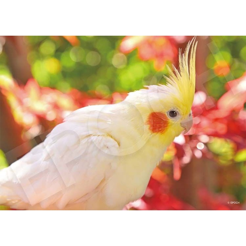 Epoch 03-091 Jigsaw Puzzle Colorful Cockatiel (108 Pieces)