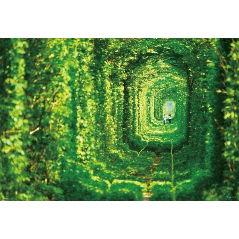 Beverly Jigsaw Puzzle 51-215 Tunnel of Love Klevan Ukraine (1000 Pieces)