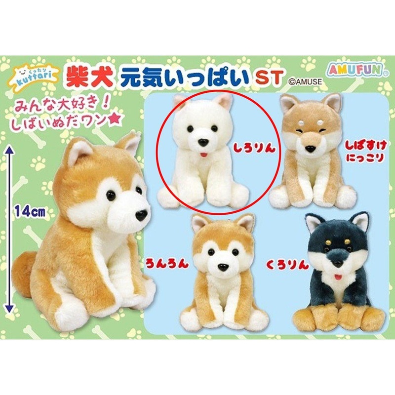Amuse Floppy Shiba Inu Full Of Energy Plush Toy Shiro Rin
