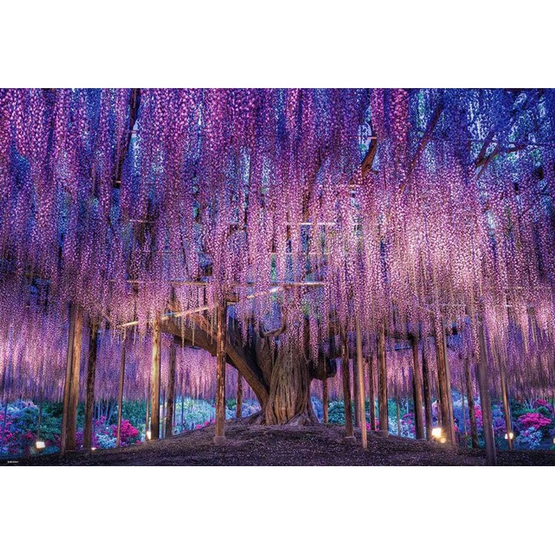Beverly 51-262 Jigsaw Puzzle Wisteria Flowers Fantasy (1000 Pieces)