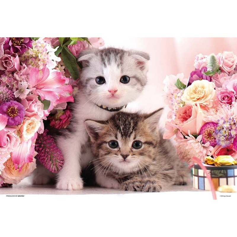 Beverly Jigsaw Puzzle Cute Kittens (1000 S-Pieces)