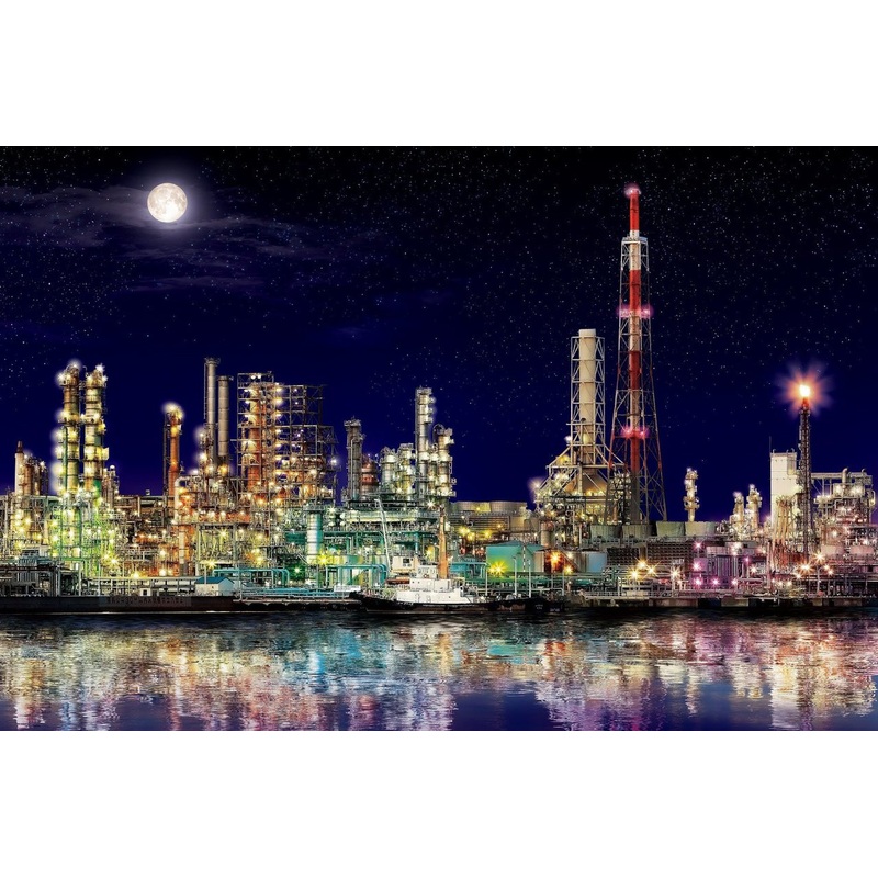 Epoch Jigsaw Puzzle 12-505 Plant of forest Kawasaki Japan (1000 Pieces)