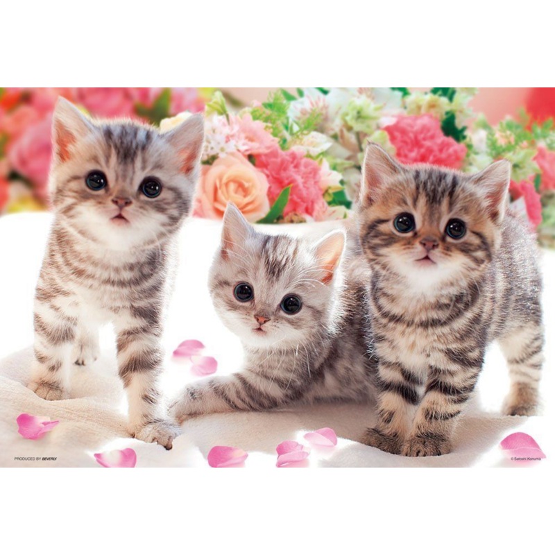 Beverly Jigsaw Puzzle P33-118 Lovely Cats (300 Pieces)