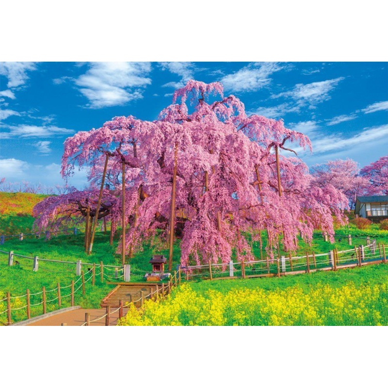 Beverly Jigsaw Puzzle 51-212 Japanese Scenery Miharu Takizakura (1000 Pieces)