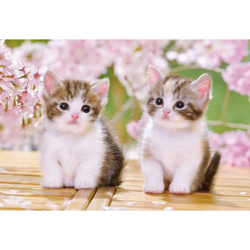 Epoch 25-183 Jigsaw Puzzle Cute Sitting Kittens (Pet Animals) (300 Pieces)