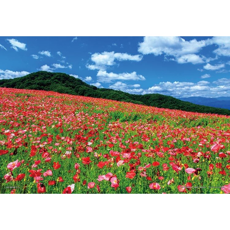 Yanoman 01-2089 Jigsaw Puzzle Poppy in the Sky Chichibu Kogen Ranch Saitama Japan (108 L-Pieces)