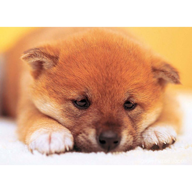 Epoch Jigsaw Puzzle 01-035 Dog (108 Pieces)