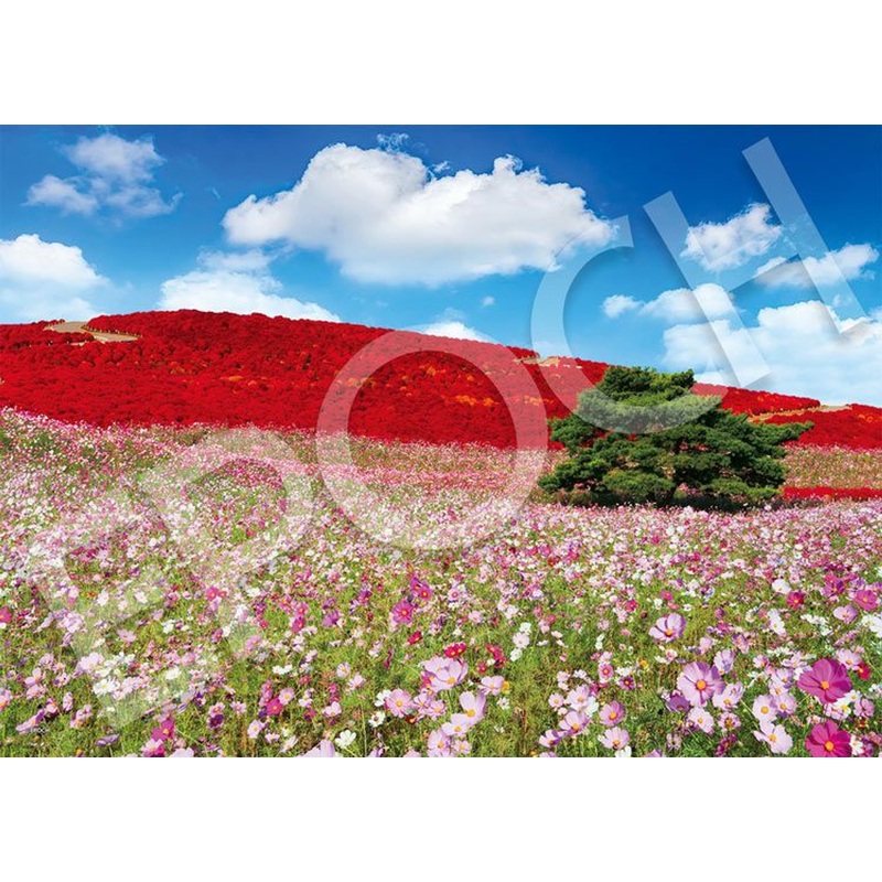 Epoch 05-207s Jigsaw Puzzle Autumn Sky & Hill in Ibaraki Japan (500 Pieces)