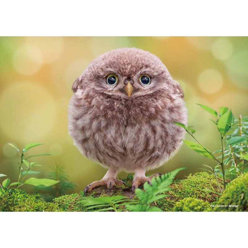 Beverly Jigsaw Puzzle P88-021 Pet Cute Round Owl (88 L-Pieces)