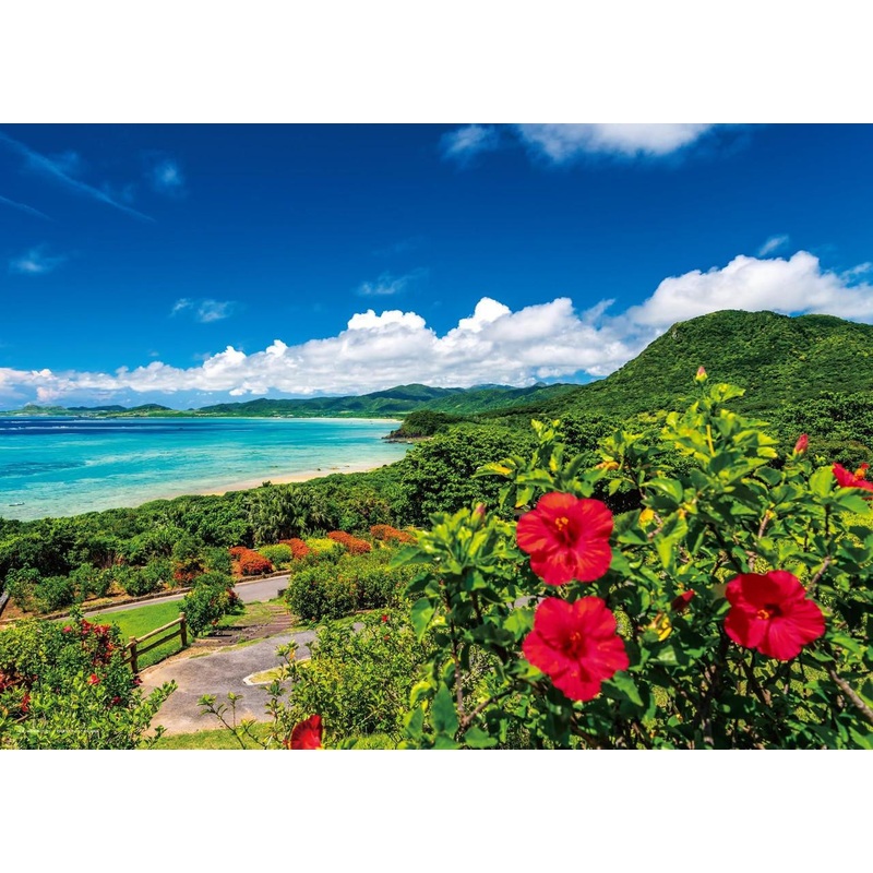 Jigsaw Puzzle The sea and hibiscus: Summer in Ishigaki Island (Okinawa) (500 Pieces)