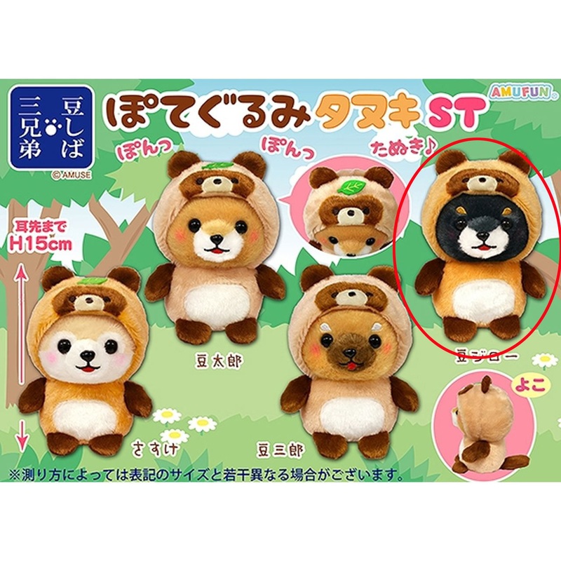 Amuse Mameshiba Three Brothers Potegurumi Raccoon Dog Plush Toy Mamejiro
