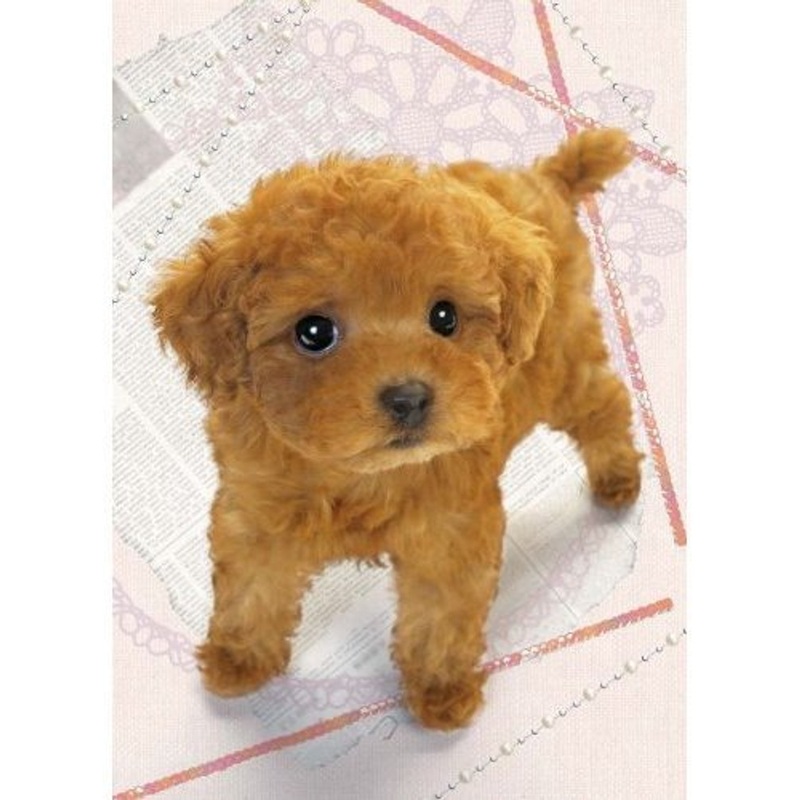 Epoch Jigsaw Puzzle 04-532 Dog (216 S-Pieces)