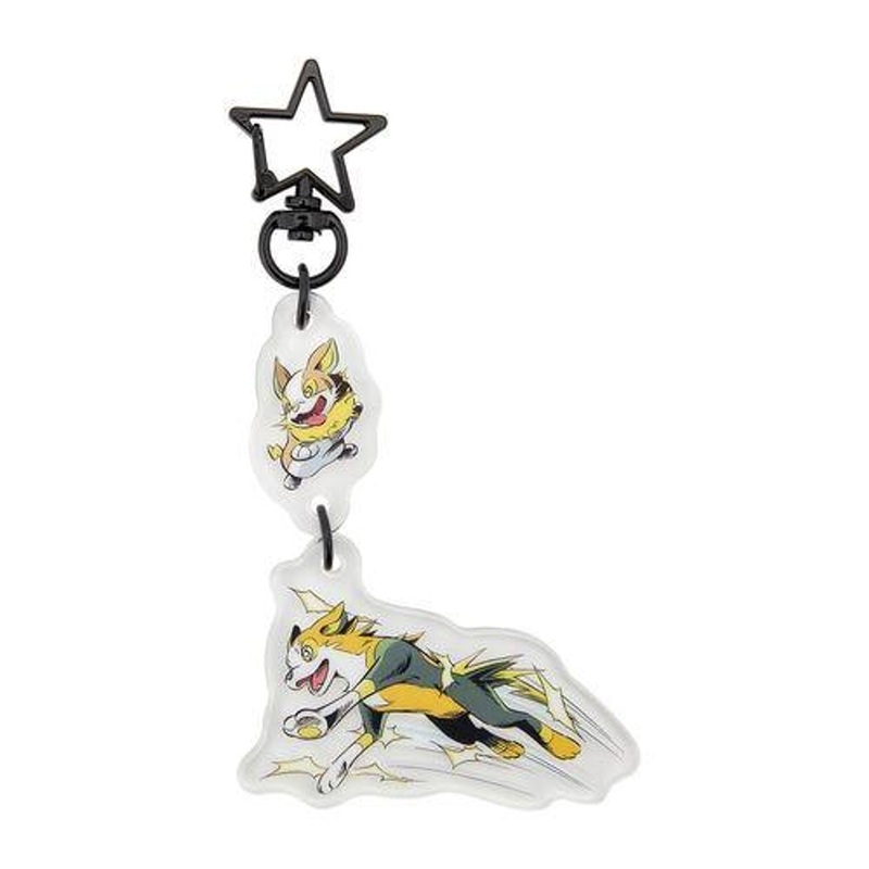 Pokemon Center Original Acrylic Key Holder Set Secret Of Might Yamper & Boltund