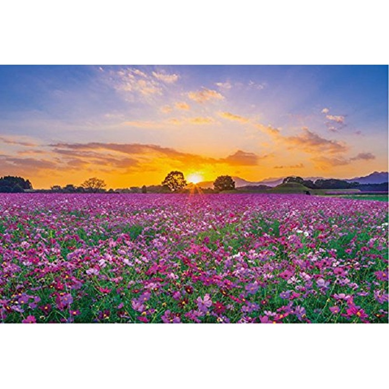 APPLEONE Jigsaw Puzzle 1000-802 Sunset and cosmos in Saitobaru Tombs (1000 Pieces)