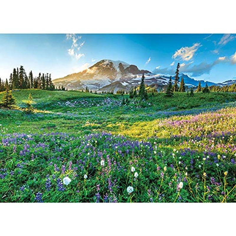APPLEONE Jigsaw 500-269 Beautiful Mount Rainier (500 Pieces)