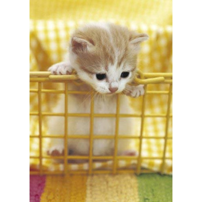 Epoch Jigsaw Puzzle 04-529 Curious Kitten (216 S-Pieces)