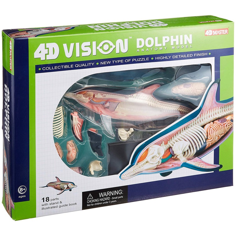 Aoshima 78235 4D Vision No.7 Dolphin Anatomy Model Non-scale Kit