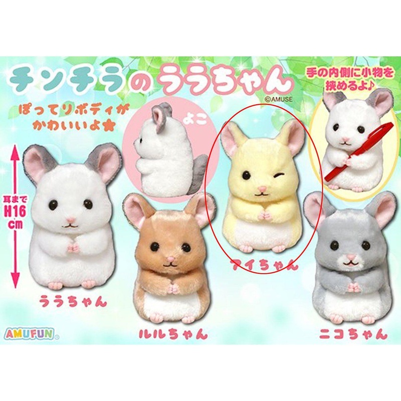 Amuse Chinchilla No Rara-chan Stuffed Toy Aichan