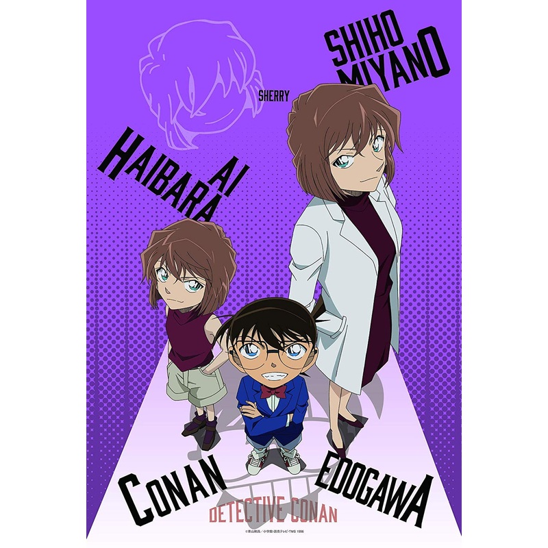 Epoch Jigsaw Puzzle 26-334s Detective Conan Genius Scientist (300 Pieces)