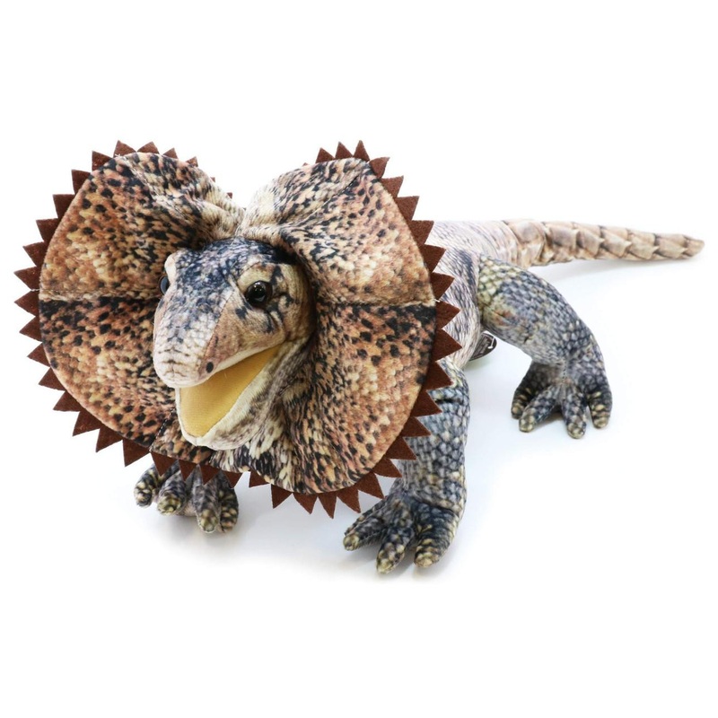 Taiyo Sangyo Wildography  Frilled Lizard