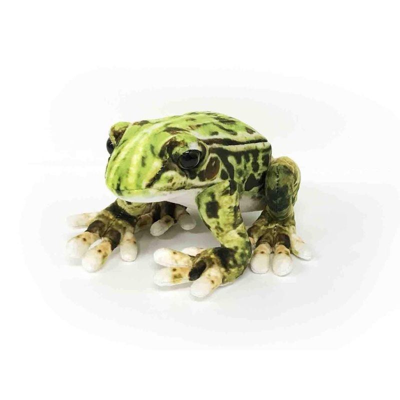 Taiyo Sangyo Wildography Plush Pelophylax Nigromaculatus