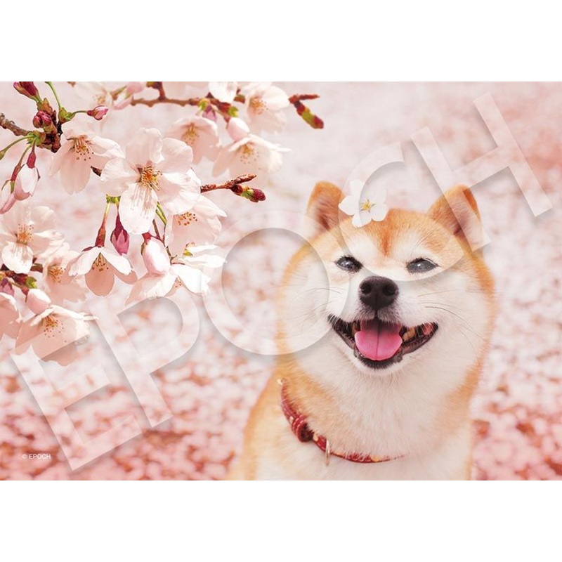 Epoch 01-075 Jigsaw Puzzle Shiba Inu & Cherry Blossoms (108 Pieces)