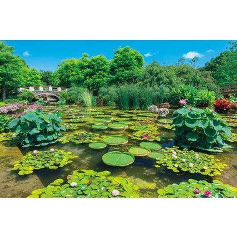 Appleone 1000-919 Jigsaw Puzzle Lush Green Watery Forest (Scenes of Japan) (1000 Pieces)