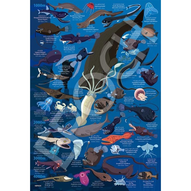 Epoch 26-808 Jigsaw Puzzle Deep Sea Biological Encyclopedia Water Depth 1000m-4000m (100 L-Pieces)
