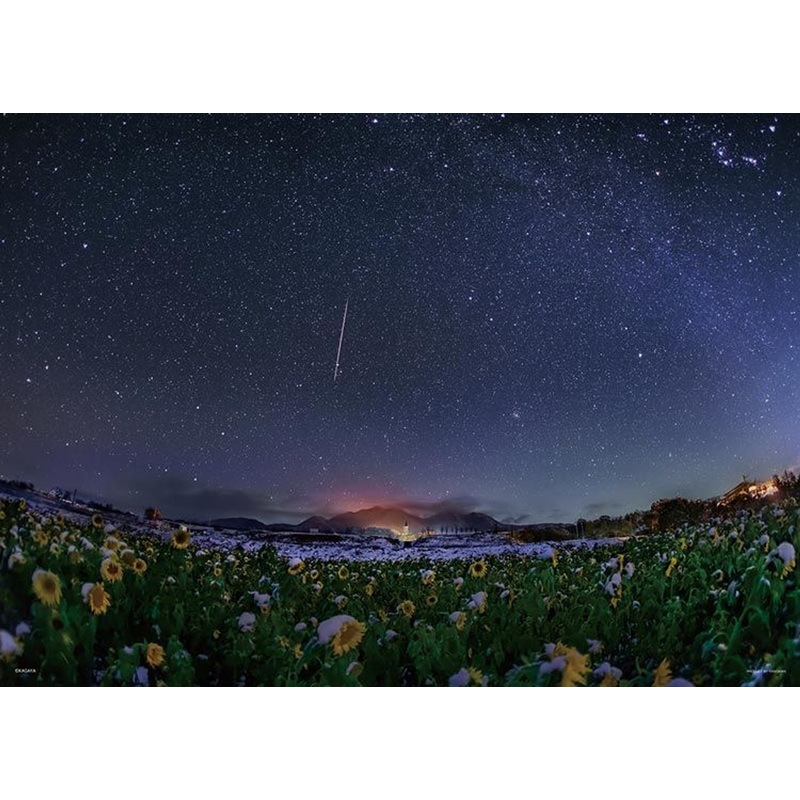 Yanoman 05-1055 Jigsaw Puzzle Sunflower Garden in the Winter Snow (500 Pieces)