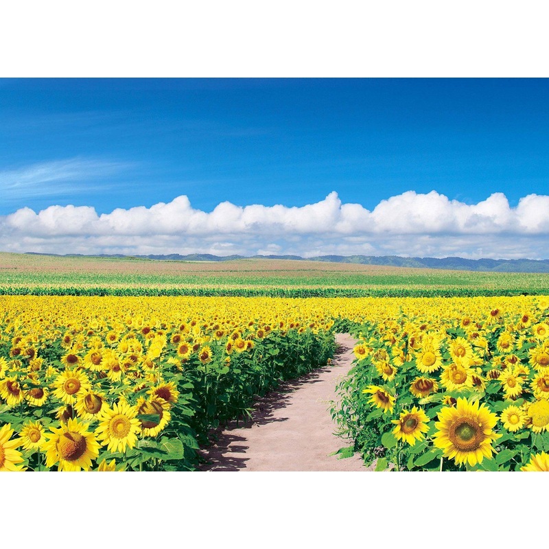 Epoch Jigsaw Puzzle 05-086 Japanese Scenery Sunflower Field Hokkaido (500 Pieces)