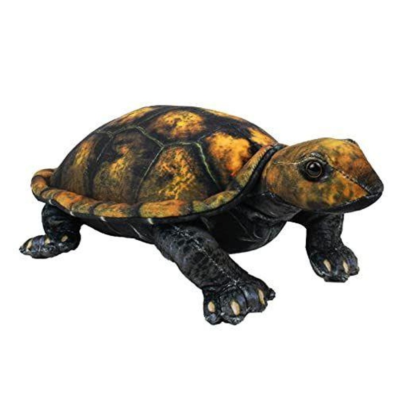Taiyo Sangyo Wildography Plush Japanese Pond Turtle (Ishigame)
