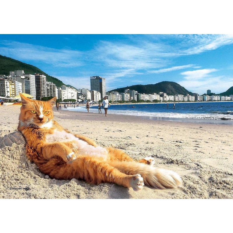 Epoch Jigsaw Puzzle 03-052 Mitsuaki Iwago’s Cat Puzzle King of the Beach (108 Pieces)