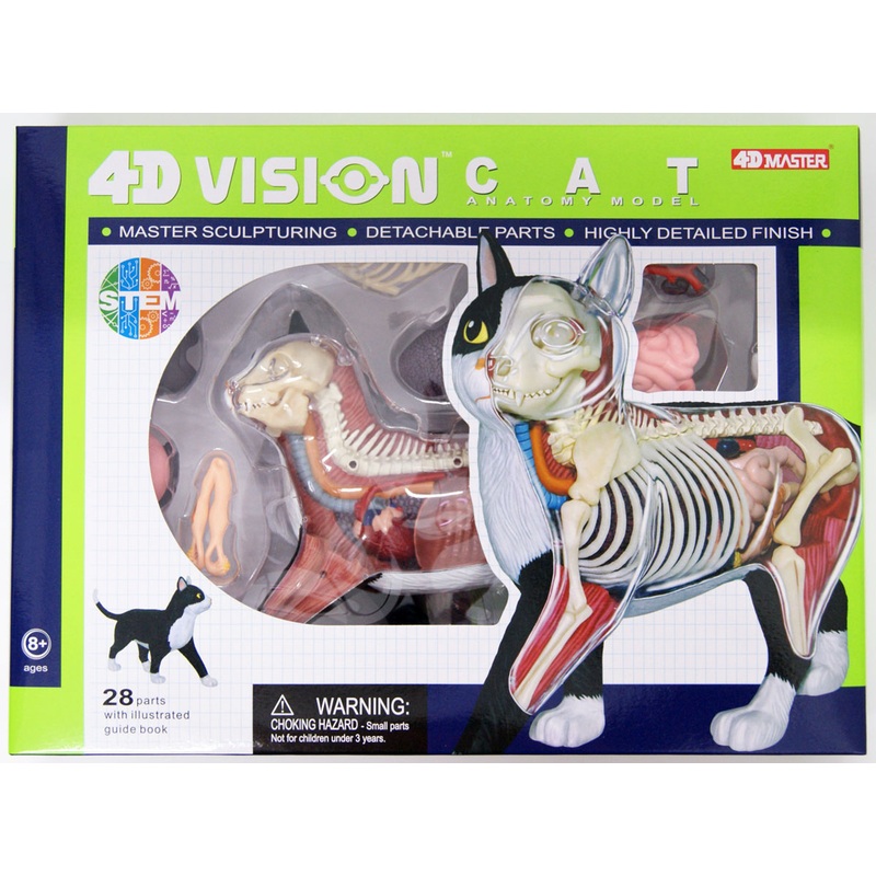 Aoshima 4D Vision Cat Black/White Anatomy Plastic Model