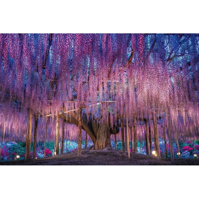 Beverly P33-186 Jigsaw Puzzle Wisteria Fantasy (300 Pieces)