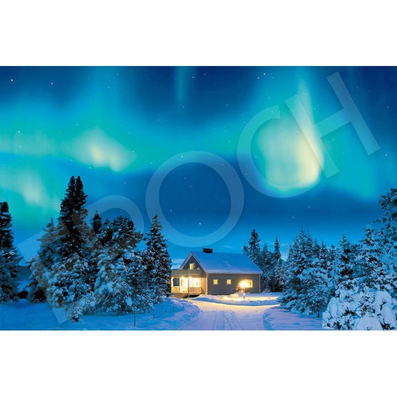 Epoch 09-014s Jigsaw Puzzle Northern Lights in Sweden (1000 Pieces)