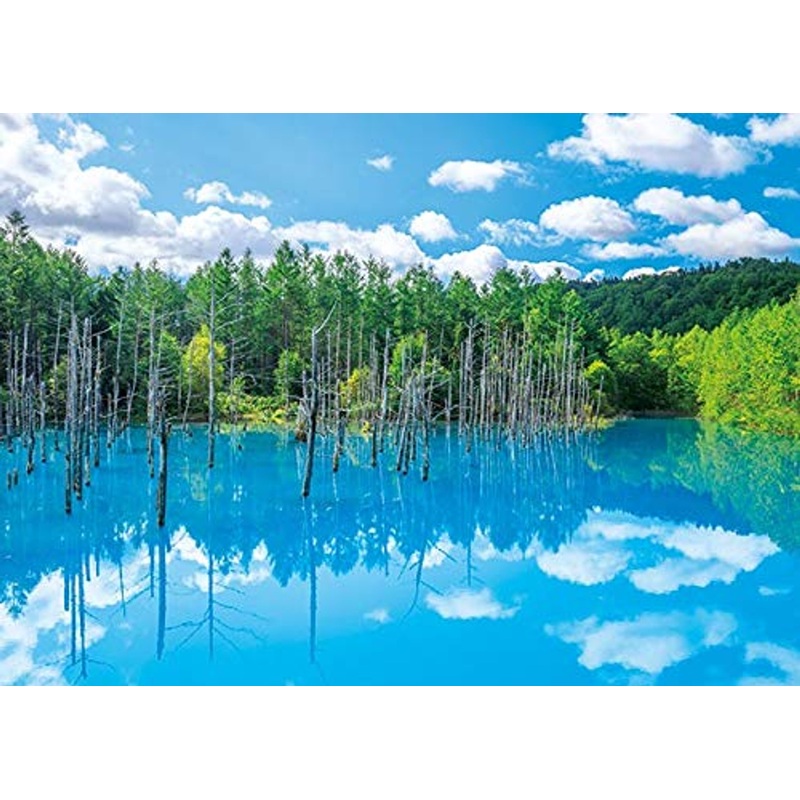 APPLEONE Jigsaw 500-263 Biei Shirogane Blue Pond (500 Pieces)