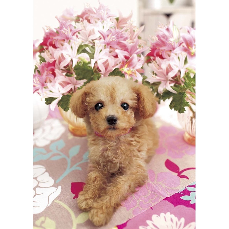 Apollo-sha Jigsaw Puzzle 41-313 Dog Pretty Poodle (108 Pieces)
